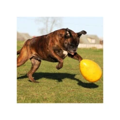 Jolly Egg 12 Jolly Egg -Happy Hundchen Geschaft product jolly egg none 4 1496839893 86965