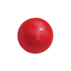 KONG Ball 11 KONG Ball -Happy Hundchen Geschaft product kong ball none 4 1466058813 69918