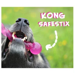 KONG Safestix -Happy Hundchen Geschaft product kong safestix none 4 1458633926 66969