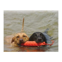 KONG Training Dummy -Happy Hundchen Geschaft product kong training dummy none 4 1469627104 71971