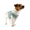 Lief! Boys Hundegeschirr -Happy Hundchen Geschaft product lief boys hondenharnas none 4 1497015028 87178