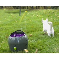 PetSafe Automatischer Ballwerfer -Happy Hundchen Geschaft product petsafe ball launcher none 4 1472637635 77137