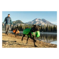 Ruffwear Approach Pack 23 Ruffwear Approach Pack -Happy Hundchen Geschaft product ruffwear approach pack none 4 1489677652 84736