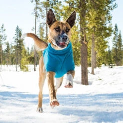 Ruffwear Climate Changer Fleece Jacket -Happy Hundchen Geschaft product ruffwear climate changer fleece jacket none 4 1480596074 81496