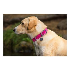 Ruffwear Headwater Collar 7 Ruffwear Headwater Collar -Happy Hundchen Geschaft product ruffwear headwater collar none 4 1487775433 83755