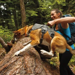 Ruffwear Webmaster Harness -Happy Hundchen Geschaft product ruffwear webmaster harness none 4 1471947180 76768