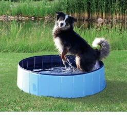 Trixie Hundepool -Happy Hundchen Geschaft product trixie dog pool none 4 1495792779 86689