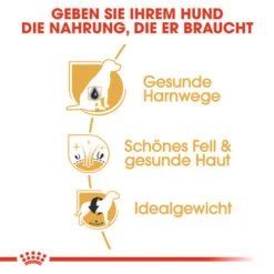 Royal Canin Bichon Frisé Adult - Hundefutter -Happy Hundchen Geschaft royal canin bichon fris adult hondenvoer 137371 0500 none