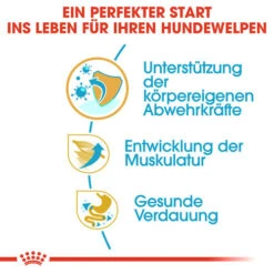 Royal Canin Boxer Puppy - Hundefutter -Happy Hundchen Geschaft royal canin boxer puppy hondenvoer 137482 0500 none