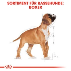 Royal Canin Boxer Puppy - Hundefutter -Happy Hundchen Geschaft royal canin boxer puppy hondenvoer 137491 0500 none