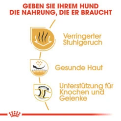 Royal Canin Bulldog Adult - Hundefutter -Happy Hundchen Geschaft royal canin bulldog adult hondenvoer 137659 0500 none