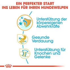 Royal Canin Bulldog Puppy - Hundefutter -Happy Hundchen Geschaft royal canin bulldog puppy hondenvoer 137803 0500 none