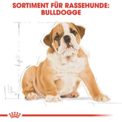 Royal Canin Bulldog Puppy - Hundefutter -Happy Hundchen Geschaft royal canin bulldog puppy hondenvoer 137812 0500 none