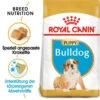 Royal Canin Bulldog Puppy - Hundefutter -Happy Hundchen Geschaft royal canin bulldog puppy hondenvoer 137848 0500 none