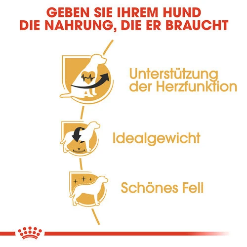 Royal Canin Cavalier King Charles Adult - Hundefutter 5 Royal Canin Cavalier King Charles Adult - Hundefutter – Bild 3