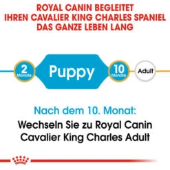 Royal Canin Cavalier King Charles Puppy - Hundefutter -Happy Hundchen Geschaft royal canin cavalier king charles puppy hondenvoer 137905 0500 none