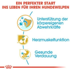 Royal Canin Cavalier King Charles Puppy - Hundefutter -Happy Hundchen Geschaft royal canin cavalier king charles puppy hondenvoer 137923 0500 none