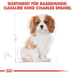Royal Canin Cavalier King Charles Puppy - Hundefutter -Happy Hundchen Geschaft royal canin cavalier king charles puppy hondenvoer 137932 0500 none