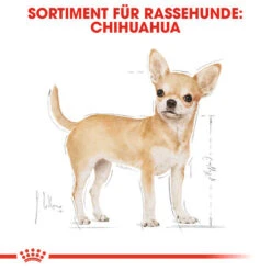 Royal Canin Chihuahua Adult - Hundefutter -Happy Hundchen Geschaft royal canin chihuahua adult hondenvoer 137968 0500 none