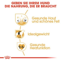 Royal Canin Cocker Adult - Hundefutter 11 Royal Canin Cocker Adult - Hundefutter -Happy Hundchen Geschaft royal canin cocker adult hondenvoer 138163 0500 none