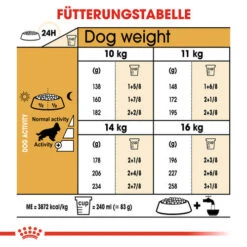 Royal Canin Cocker Adult - Hundefutter 14 Royal Canin Cocker Adult - Hundefutter -Happy Hundchen Geschaft royal canin cocker adult hondenvoer 138178 0500 none