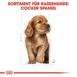 Royal Canin Cocker Puppy - Hundefutter -Happy Hundchen Geschaft royal canin cocker puppy hondenvoer 138226 0500 none