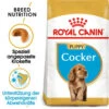 Royal Canin Cocker Puppy - Hundefutter 2 Royal Canin Cocker Puppy - Hundefutter -Happy Hundchen Geschaft royal canin cocker puppy hondenvoer 140501 0500 none