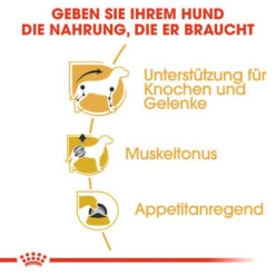 Royal Canin Dachshund Adult Wet - Hundefutter -Happy Hundchen Geschaft royal canin dachshund adult wet hondenvoer 138397 0500 none