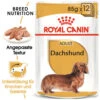 Royal Canin Dachshund Adult Wet - Hundefutter 1 Royal Canin Dachshund Adult Wet - Hundefutter -Happy Hundchen Geschaft royal canin dachshund adult wet hondenvoer 138433 0500 none