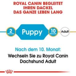 Royal Canin Dachshund Puppy - Hundefutter 14 Royal Canin Dachshund Puppy - Hundefutter -Happy Hundchen Geschaft royal canin dachshund puppy hondenvoer 138319 0500 none