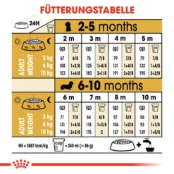 Royal Canin Dachshund Puppy - Hundefutter 16 Royal Canin Dachshund Puppy - Hundefutter -Happy Hundchen Geschaft royal canin dachshund puppy hondenvoer 138355 0500 none