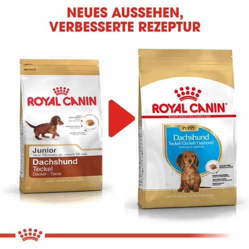 Royal Canin Dachshund Puppy - Hundefutter 8 Royal Canin Dachshund Puppy - Hundefutter – Bild 6