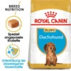 Royal Canin Dachshund Puppy - Hundefutter 1 Royal Canin Dachshund Puppy - Hundefutter -Happy Hundchen Geschaft royal canin dachshund puppy hondenvoer 140516 0500 none