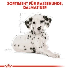 Royal Canin Dalmatian Puppy - Hundefutter -Happy Hundchen Geschaft royal canin dalmatian puppy hondenvoer 138589 0500 none
