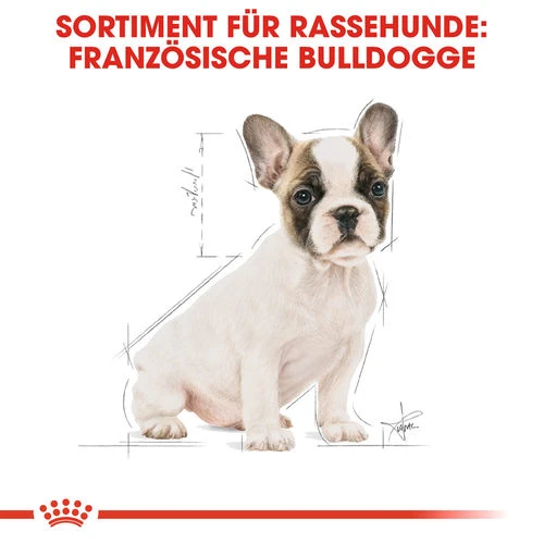 Royal Canin French Bulldog Puppy - Hundefutter 6 Royal Canin French Bulldog Puppy - Hundefutter – Bild 4