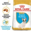 Royal Canin French Bulldog Puppy - Hundefutter -Happy Hundchen Geschaft royal canin french bulldog puppy hondenvoer 140549 0500 none