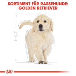 Royal Canin Golden Retriever Puppy - Hundefutter -Happy Hundchen Geschaft royal canin golden retriever puppy hondenvoer 138958 0500 none