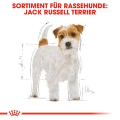 Royal Canin Jack Russell Terrier Adult - Hundefutter -Happy Hundchen Geschaft royal canin jack russell terrier adult hondenvoer 139060 0500 none