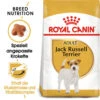 Royal Canin Jack Russell Terrier Adult - Hundefutter -Happy Hundchen Geschaft royal canin jack russell terrier adult hondenvoer 139117 0500 none