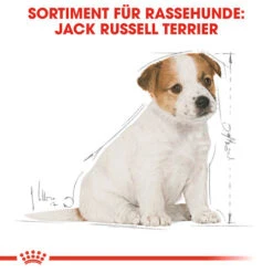 Royal Canin Jack Russell Terrier Puppy - Hundefutter -Happy Hundchen Geschaft royal canin jack russell terrier puppy hondenvoer 139318 0500 none