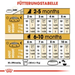 Royal Canin Jack Russell Terrier Puppy - Hundefutter -Happy Hundchen Geschaft royal canin jack russell terrier puppy hondenvoer 139327 0500 none