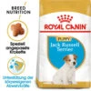 Royal Canin Jack Russell Terrier Puppy - Hundefutter 1 Royal Canin Jack Russell Terrier Puppy - Hundefutter -Happy Hundchen Geschaft royal canin jack russell terrier puppy hondenvoer 140597 0500 none