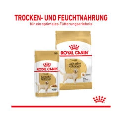 Royal Canin Labrador Retriever Adult Wet 14 Royal Canin Labrador Retriever Adult Wet -Happy Hundchen Geschaft royal canin labrador retriever adult wet 165769 0500 none