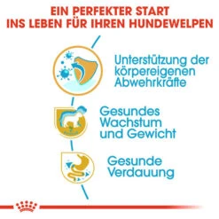 Royal Canin Labrador Retriever Puppy - Hundefutter 11 Royal Canin Labrador Retriever Puppy - Hundefutter -Happy Hundchen Geschaft royal canin labrador retriever puppy hondenvoer 139429 0500 none