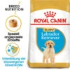 Royal Canin Labrador Retriever Puppy - Hundefutter 2 Royal Canin Labrador Retriever Puppy - Hundefutter -Happy Hundchen Geschaft royal canin labrador retriever puppy hondenvoer 140618 0500 none