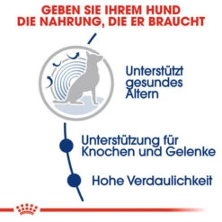 Royal Canin Maxi Ageing 8+ - Hundefutter -Happy Hundchen Geschaft royal canin maxi ageing 8 hondenvoer 128705 0500 none