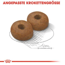 Royal Canin Maxi Ageing 8+ - Hundefutter -Happy Hundchen Geschaft royal canin maxi ageing 8 hondenvoer 128714 0500 none