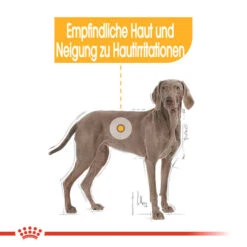 Royal Canin Maxi Dermacomfort - Hundefutter 13 Royal Canin Maxi Dermacomfort - Hundefutter -Happy Hundchen Geschaft royal canin maxi dermacomfort hondenvoer 132422 0500 none