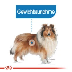 Royal Canin Maxi Light Weight Care - Hundefutter -Happy Hundchen Geschaft royal canin maxi light weight care hondenvoer 132599 0500 none
