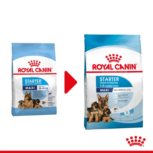 Royal Canin Maxi Starter Mother & Babydog - Hundefutter 3 Royal Canin Maxi Starter Mother & Babydog - Hundefutter